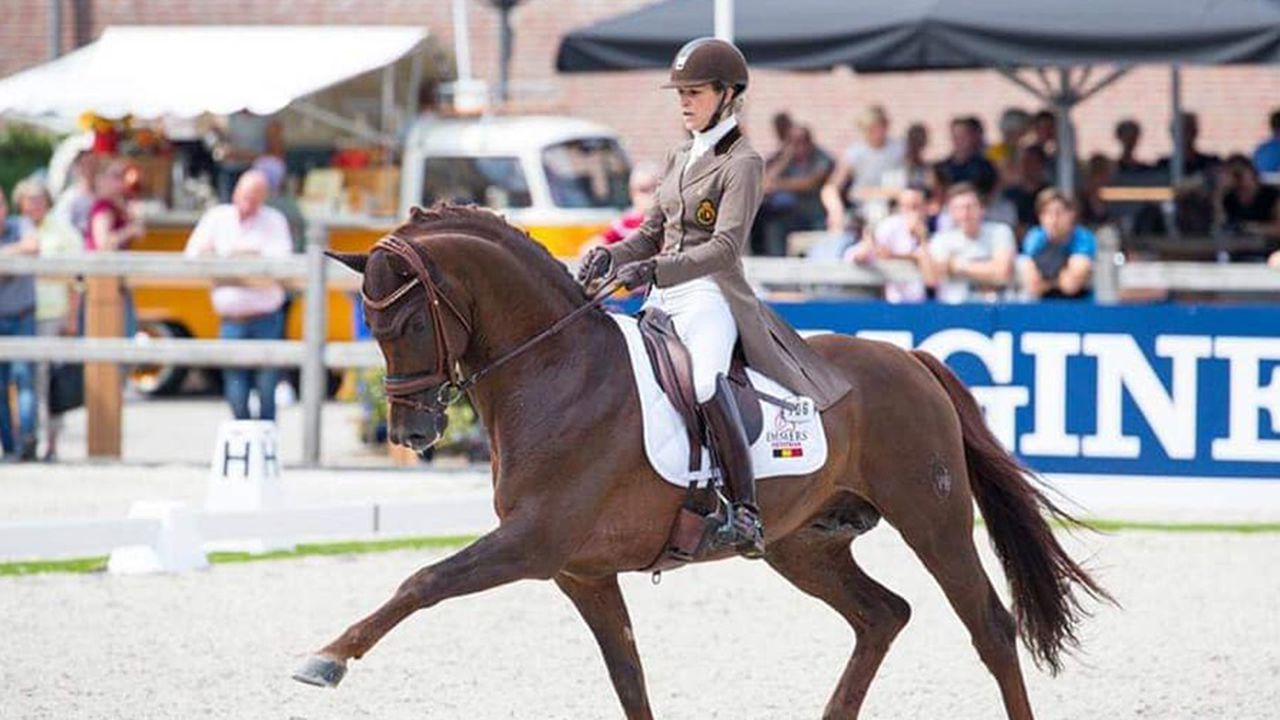 Jumping team and (para) dressage team already want to qualify for Paris 2024 at the Equestrian World Championships