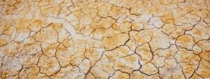 I wish it were just an empty swamp: this is how Spanish society is suffering the less obvious consequences of the drought