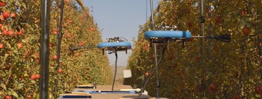Autonomous flying robots capable of collecting fruit: this is how Tevel promises to tackle the lack of temporary workers